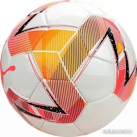 Футзальный мяч Puma Futsal 2 HS 08376401 (4 размер)