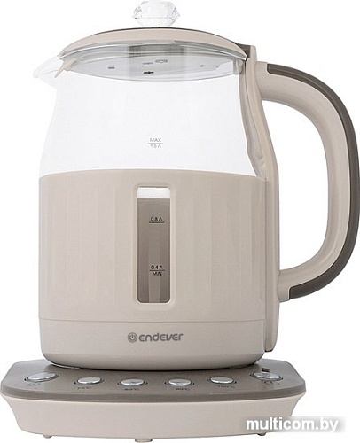 Электрический чайник Endever Skyline KR-365G