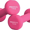 Набор гантелей Proiron Г2010РНЕО (2 шт)