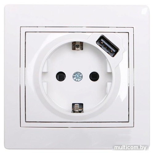 Розетка USB Lezard Mira 701-0202-181