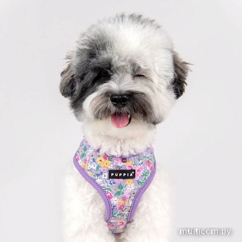 Шлейка-жилетка Puppia Lita-A PAWA-HA1959-PU-S (фиолетовый)