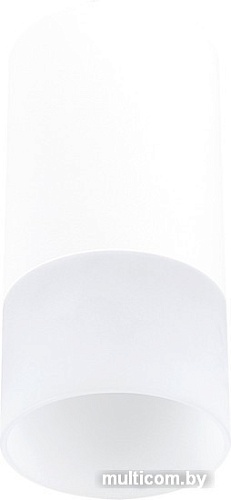 Припотолочная люстра ST Luce ST100.512.01