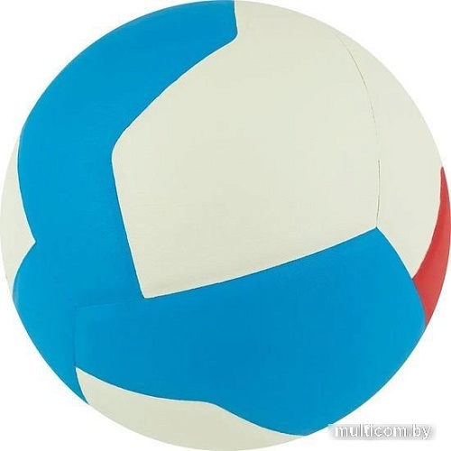 Волейбольный мяч Gala Training Heavy 12 BV 5475 S (размер 5, белый/синий)