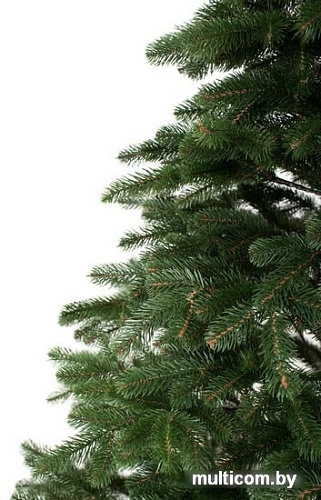 Ель Siga Group Сибирская зеленая 2.1 м