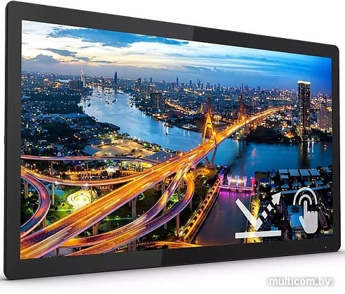 Монитор Philips 222B1TFL/00