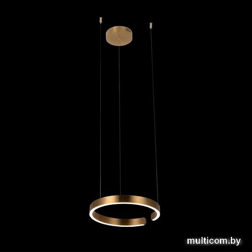 Подвесная люстра LOFT IT Ring 10013S