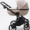Универсальная коляска Adamex Mateo Lux (2 в 1, Tsb-2)