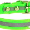 Ошейник Каскад 00212302-05 (зеленый)