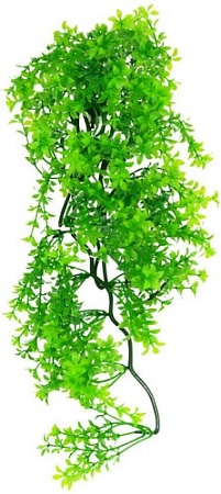 Искусственное растение Lucky Reptile Turtle Plant Ceratopteris TP-41