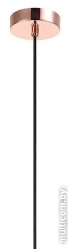 Подвесная люстра Stilfort Olma 2109/10/01P