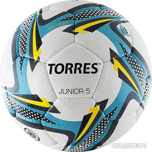 Мяч Torres Junior-5 F318225 (5 размер)