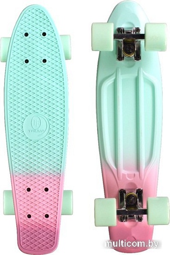 Пенниборд Triumf Active TLS-401M (mint)