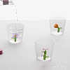 Стакан для воды и напитков Ichendorf Milano Botanica 09354031