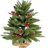 Ель Winter Time XC02-131T 0.6 м