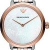 Наручные часы Emporio Armani AR11157