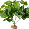 Искусственное растение Lucky Reptile Golden Pothos IF-33
