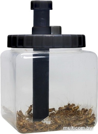 Контейнер для живого корма Lucky Reptile Cricket Keeper CK-1