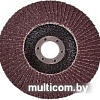 Шлифовальный круг БаЗ Р24