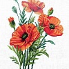 Набор для вышивания Сделай своими руками Маков цвет М-34С