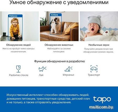 IP-камера TP-Link Tapo C220