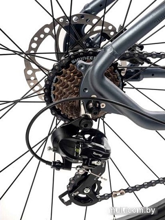 Велосипед Totem Master-29HDA (серый)