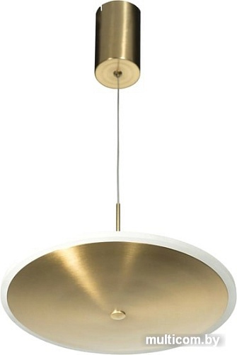 Подвесная люстра LOFT IT Ruedo 10036/300