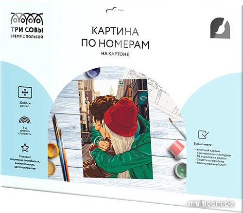 Картина по номерам Три совы Любовь КК_44044