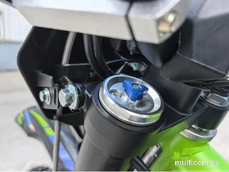 Мотоцикл AVM BisonX 300 (зеленый)