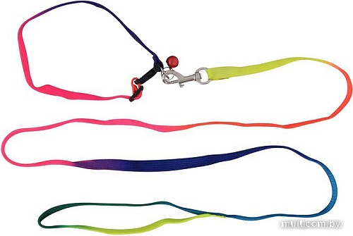 Ошейник с поводком Мультидом Радуга VL40-11 (р. S)