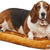 Лежак Midwest Pet Bed для собак и кошек 40224-CN (61x46см, коричневый)