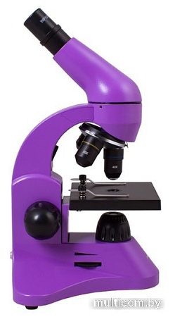 Levenhuk Rainbow 50L (аметист) 69047