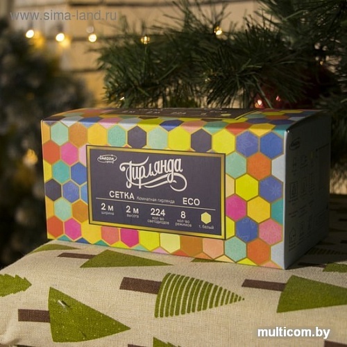 Световая сетка Luazon Сеть 2x2 м 3556876