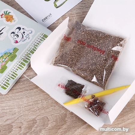 Набор для опытов Darvish Дом - полная чаша M-005 DV-T-2182-5