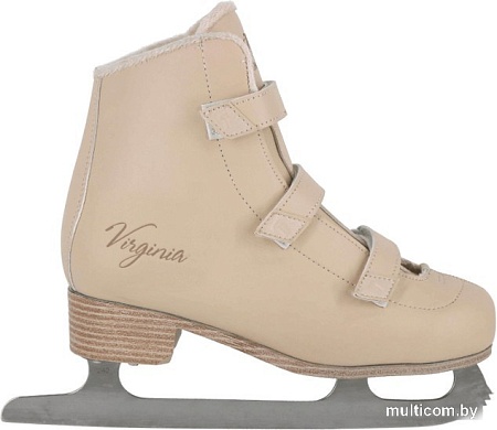 Коньки Tech Team Virginia (р. 36)