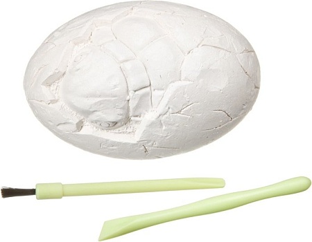 Набор для опытов Bondibon Науки с Буки Яйцо черепахи ВВ4116