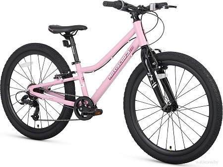 Велосипед Maxiscoo 3bike 24 L 2025 MSC-M3-2404 (розовый матовый, разобранный)