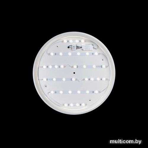 Люстра-тарелка LOFT IT Axel 10001/36 White
