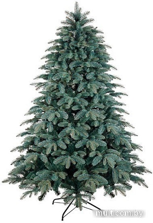 Ель Бифорес Венера микс 1.65 м (голубой)