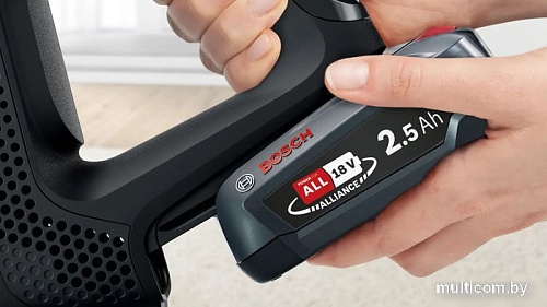 Пылесос Bosch Series 6 BBS611BSC