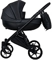 Универсальная коляска Ray Victoria (2 в 1, 17)