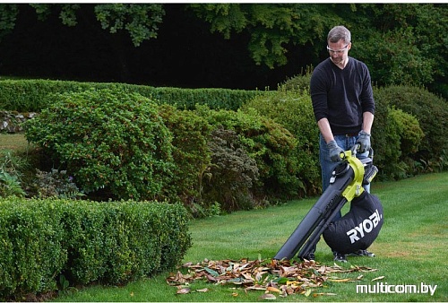 Ручная воздуходувка Ryobi RBV36B [5133002524]