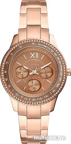 Наручные часы Fossil Stella ES5109