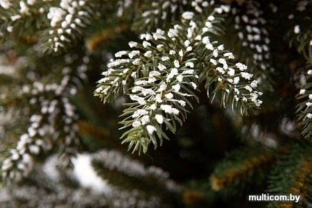 Ель GreenTerra Квебек 2.2 м