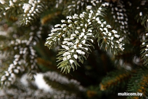 Ель GreenTerra Квебек 2.2 м