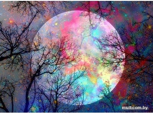 Алмазная мозаика Darvish Луна DV-9518-11