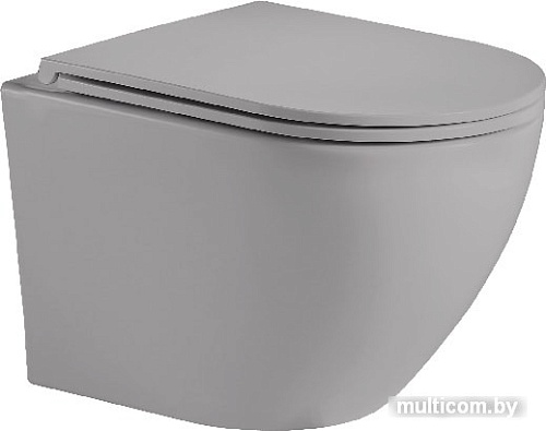 Унитаз WeltWasser Merzbach 004 MT-GR (серый матовый)