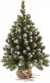 Ель Царь Елка Императорская заснеженная 0.9 м