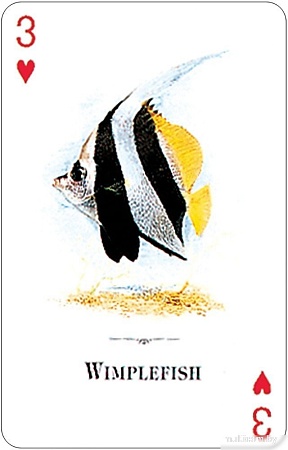 Игральные карты U.S. Games Systems Aquarium Of The Natural World Playing Cards AWC54