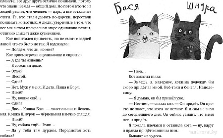 Книга издательства Самокат. Кот прямо с неба (Шанская Анастасия)