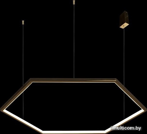 Подвесная люстра LOFT IT Ring 10016XL